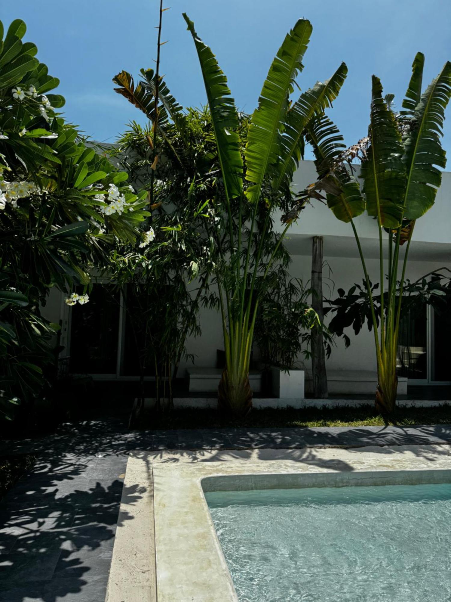La Base B&B Kiwengwa (Zanzibar) Exterior foto